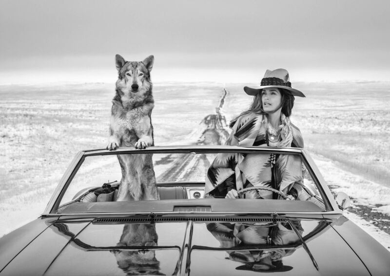 David Yarrow, ‘On the Road Again’, 2020, Photography, Archival Pigment Print, CAMERA WORK