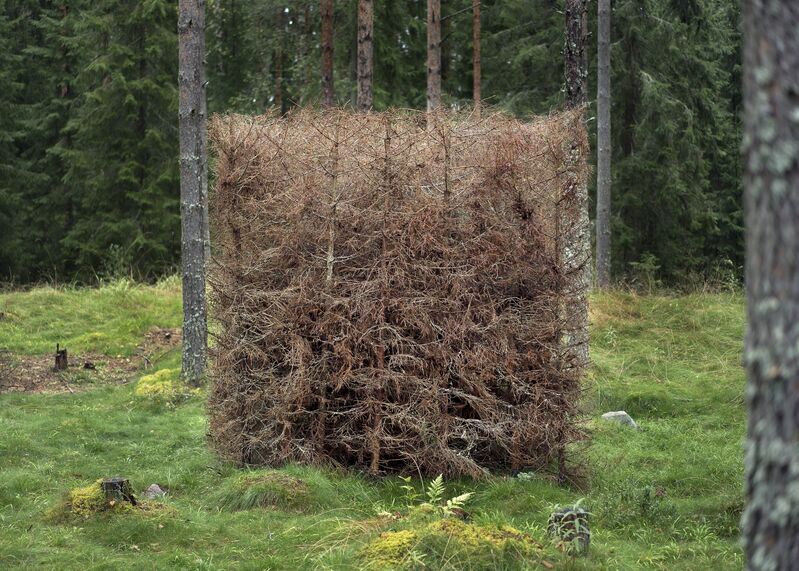 Antti Laitinen, ‘Forest (Brown)’, 2016, Photography, Pigment print, Diasec, Galerie Anhava
