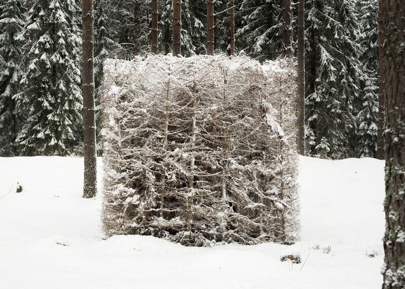 Antti Laitinen, ‘Forest (White)’, 2016, Photography, Pigment print, Diasec, Galerie Anhava