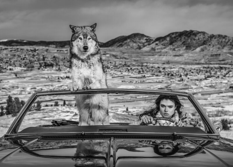 David Yarrow, ‘The Richest Hill in the World’, 2020, Photography, Archival Pigment Print, Samuel Lynne Galleries