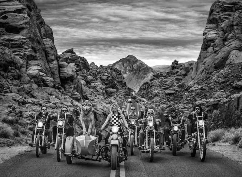 David Yarrow, ‘The leader of the pack’, 2019, Photography, Technique: Archival Pigment Print, Petra Gut Contemporary