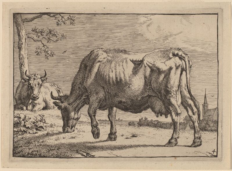 Paulus Potter, ‘Grazing Cow’, 1650, Print, Etching, National Gallery of Art, Washington, D.C.