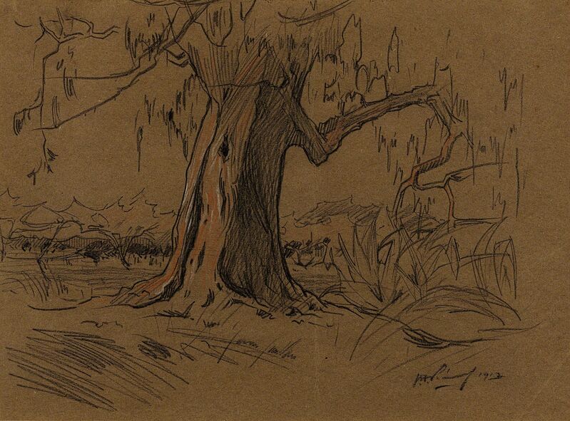 J. H. Pierneef, ‘Large Tree in a Landscape’, 1913, Drawing, Collage or other Work on Paper, Charcoal on paper, Strauss & Co