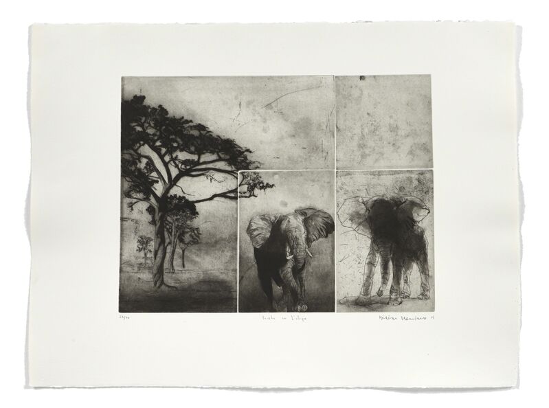 Frédéric Desaulniers, ‘Fenêtre sur l'Afrique’, 2007, Print, Aquatint, etching and drypoint, Atelier-Galerie A.Piroir