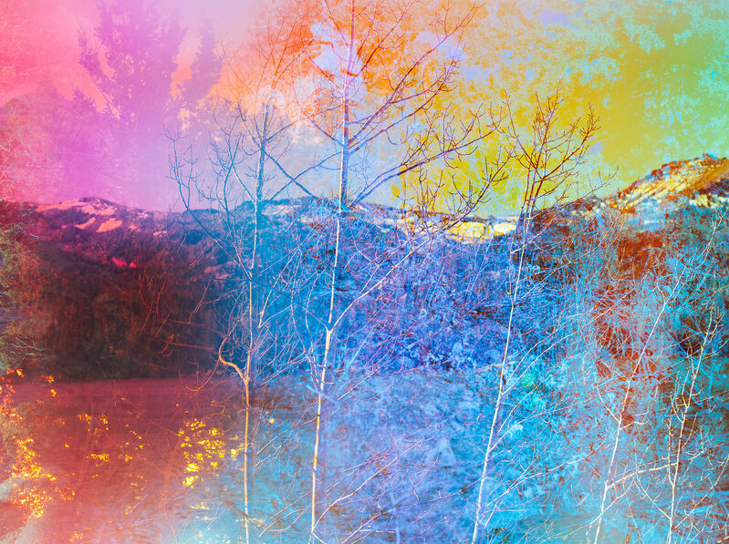 Terri Loewenthal, ‘Psychscape 841 (Silver Lake, CA) 2018’, 2018, Photography, Archival Pigment Print, CULT Aimee Friberg Exhibitions
