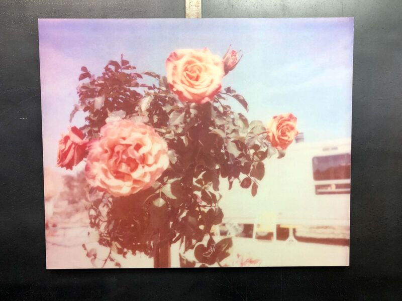 Stefanie Schneider, ‘A Sunny Morning (The Girl behind the White Picket Fence) ’, 2013, Photography, Analog C-Print, hand-printed by the artist on Fuji Crystal Archive Paper, based on a Polaroid, mounted on Aluminum with matte UV-Protection, Instantdreams