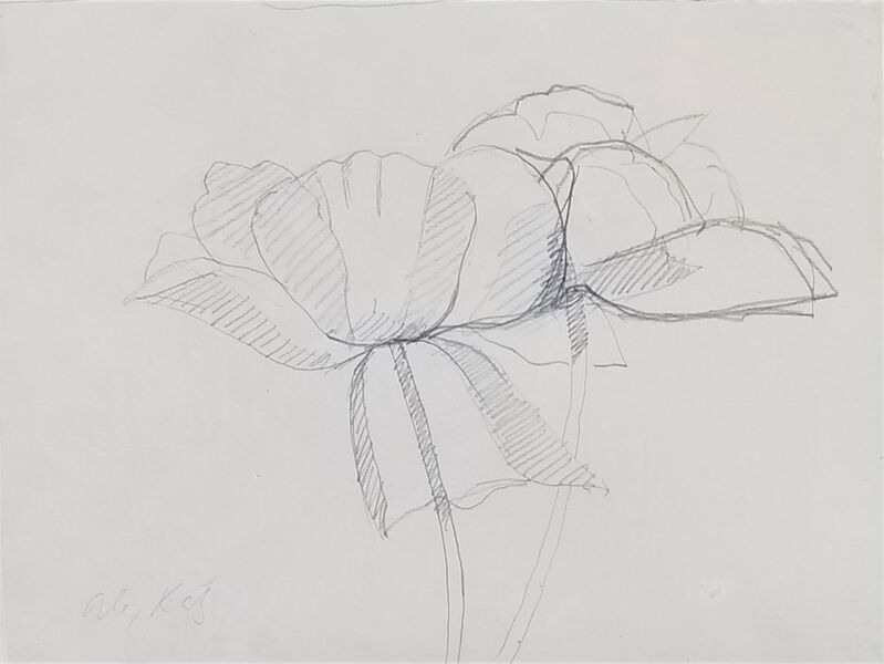 Alex Katz, ‘Primrose2’, ca. 1960, Drawing, Collage or other Work on Paper, Graphite on Paper, Clarke Gallery