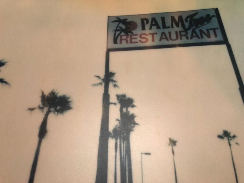Stefanie Schneider, ‘Palm Tree Restaurant (Stranger than Paradise)’, 1999, Photography, Analog C-Print, hand-printed by the artist. Mounted on Aluminum  with matte UV-Protection, Instantdreams