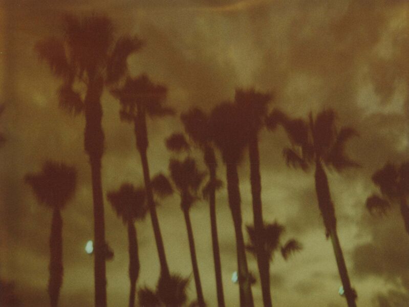 Stefanie Schneider, ‘Palm Trees at Night (Stranger than Paradise)’, 1999, Photography, Analog C-Print, hand-printed by the artist on Fuji Crystal Archive Paper, based on a Polaroid, not mounted, Instantdreams
