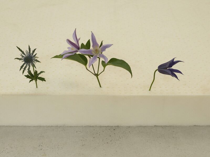 Casper Sejersen, ‘Three Flowers in the Right Order’, 2019, Print, Archival pigment print on canton palatine paper, Cob