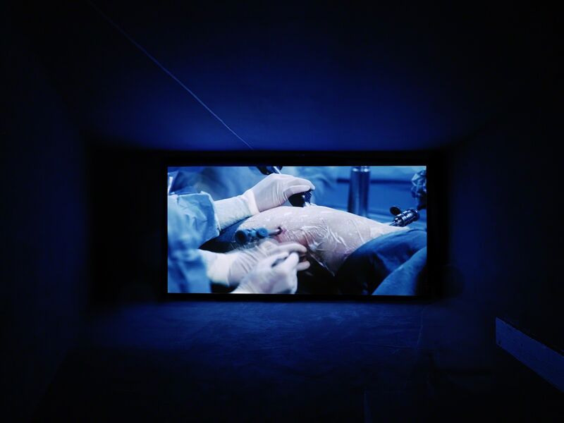 Yuri Ancarani, ‘Da Vinci’, 2012, Installation, Installation, Palais de Tokyo