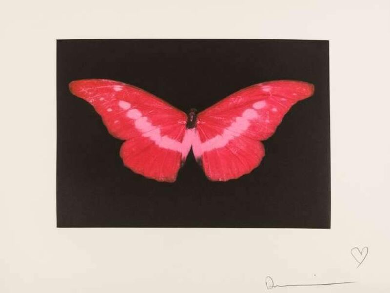 Damien Hirst, ‘Red Butterfly’, 2008, Print, Etching on wove paper, artrepublic