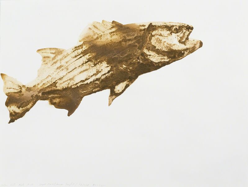 Alexis Rockman, ‘Striped Bass (Morone saxatilis)’, 2014, Drawing, Collage or other Work on Paper, 2014, Parrish Art Museum