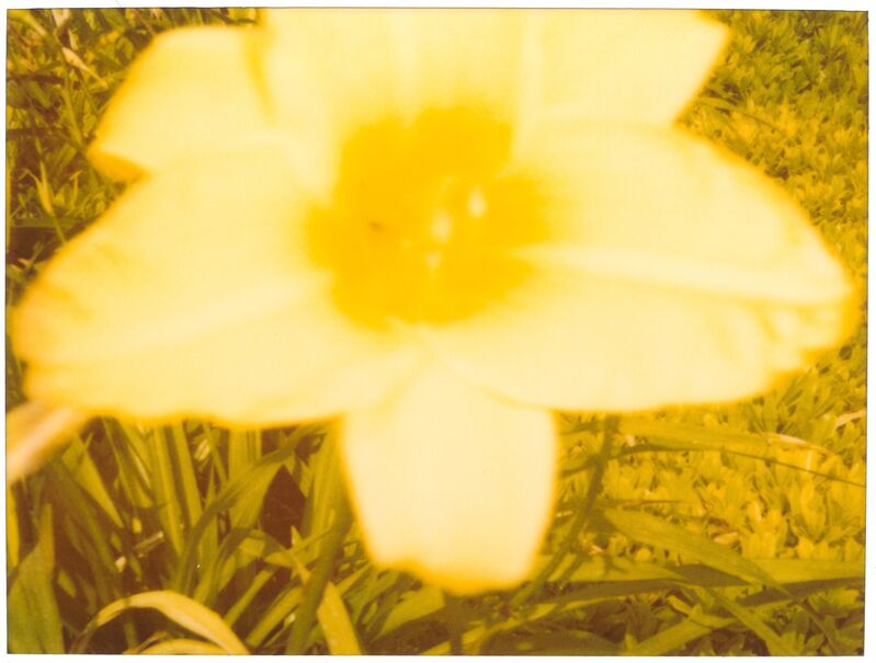 Stefanie Schneider, ‘Suburbia’, 2004, Photography, Analog C-Print, hand-printed by the artist on Fuji Crystal Archive Paper, matte surface, based on an expired  Polaroid,, Instantdreams