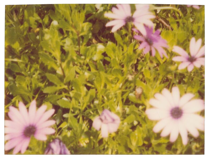 Stefanie Schneider, ‘Artificial Flowers’, ca. 1999, Photography, Analog C-Print, hand-printed by the artist on Fuji Crystal Archive Paper, matte surface, based on an expired Polaroid, Instantdreams