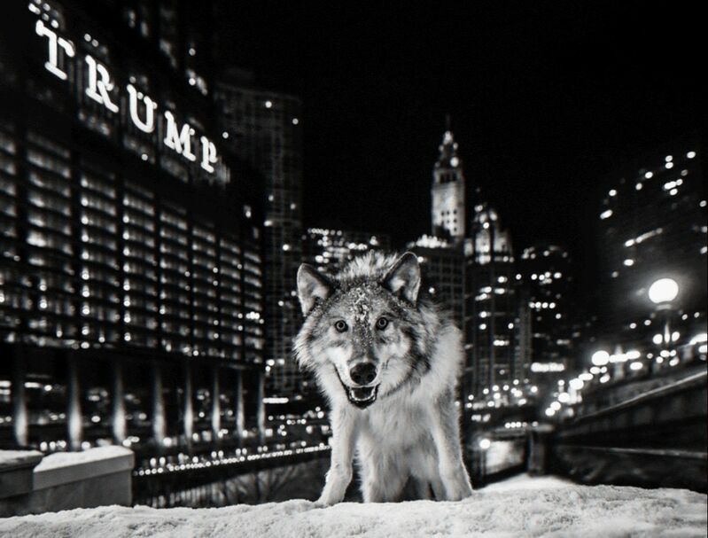 David Yarrow, ‘It's Only a Matter of Time’, Photography, Visions West Contemporary