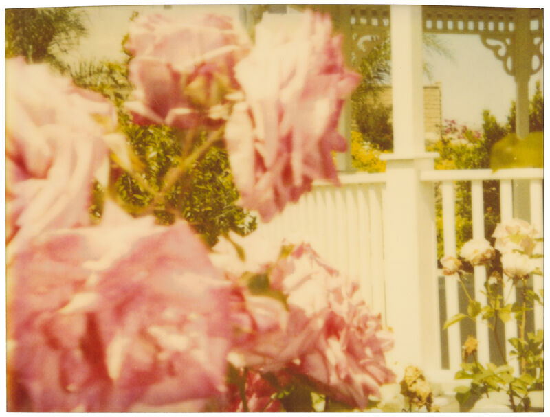 Stefanie Schneider, ‘Rosegarden #01, diptych’, 2004, Photography, Analog C-Prints, hand-printed by the artist on Fuji Crystal Archive Paper, matte surface, based on 2 Polaroids, not mounted, Instantdreams