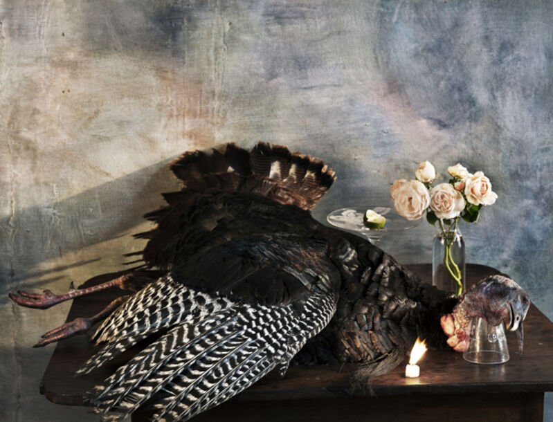 Vera Mercer, ‘Old wild  Turkey’, 2012, Photography, Hahnemühle Rag paper, °CLAIRbyKahn Galerie