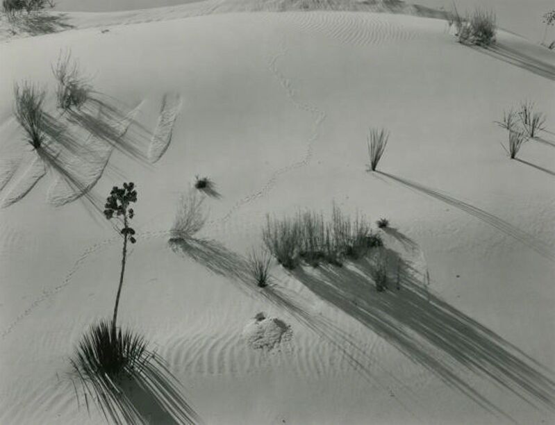 Brett Weston, ‘Untitled (Dunes)’, 1947, Photography, Gelatin silver print mounted on board, Upsilon Gallery