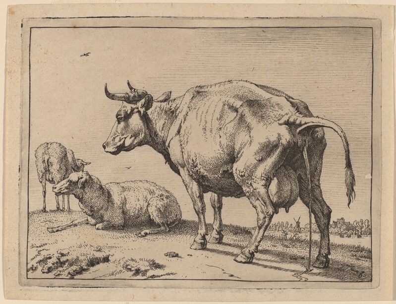 Paulus Potter, ‘Pissing Cow’, 1650, Print, Etching, National Gallery of Art, Washington, D.C.