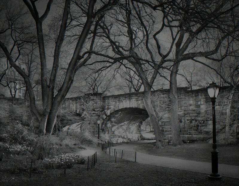 Michael Massaia, ‘Deep In A Dream - Central Park - Central Park "West Side Sunrise"’, 2009, Photography, Gold and Selenium Toned Silver Gelatin Photograph, Holden Luntz Gallery