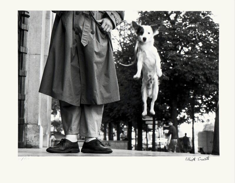 Elliott Erwitt, ‘Snaps Collectors Edition Photo Book’, 2002, Cloth-bound hardback enclosed in a slipcase, 352pp, 508 black and white illustrations, Chiswick Auctions