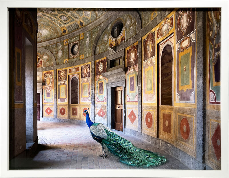 Karen Knorr, ‘Heaven’s Vaut, Villa Farnese, Caprarola’, 2014, Photography, Archival Pigment Print, Danziger Gallery