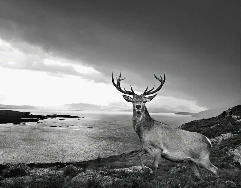 David Yarrow, ‘Over the Sea to Skye’, 2017, Photography, Archival Pigment Print, Hilton Asmus