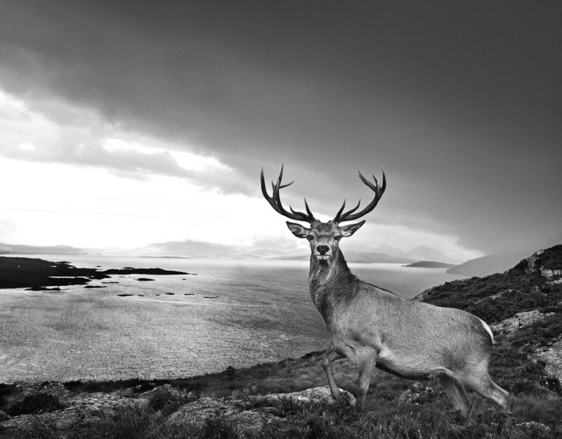 David Yarrow, ‘Over The Sea To Skye’, 2017, Photography, Archival pigment print on paper, Fineart Oslo