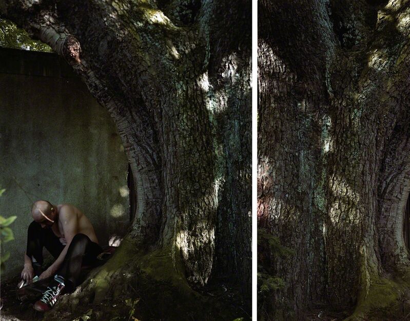 Valérie Jouve, ‘Sans titre (Les Arbres)’, 2006, Photography, C-print, Xippas
