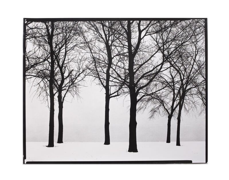 Harry Callahan, ‘Chicago, Trees in Snow’, 1950, Photography, Silver gelatin print, Jackson Fine Art