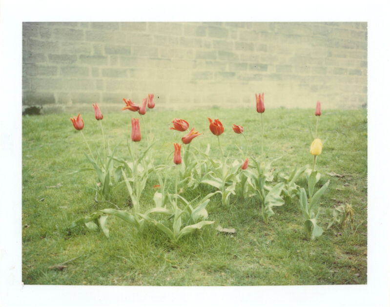 Stefanie Schneider, ‘Springtime (Paris)’, 1995, Photography, Analog C-Print based on a Polaroid, hand-printed by the artist on Fuji Crystal Archive Paper. Not mounted., Instantdreams