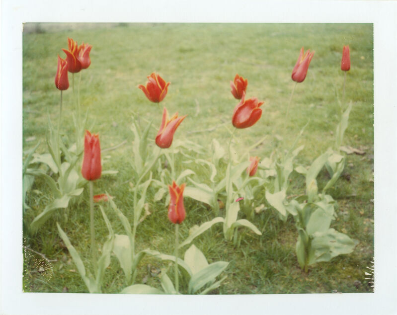 Stefanie Schneider, ‘Springtime (Paris)’, 1995, Photography, 4 Analog C-Prints based on 4 Polaroids, hand-printed by the artist on Fuji Crystal Archive Paper. Not mounted., Instantdreams