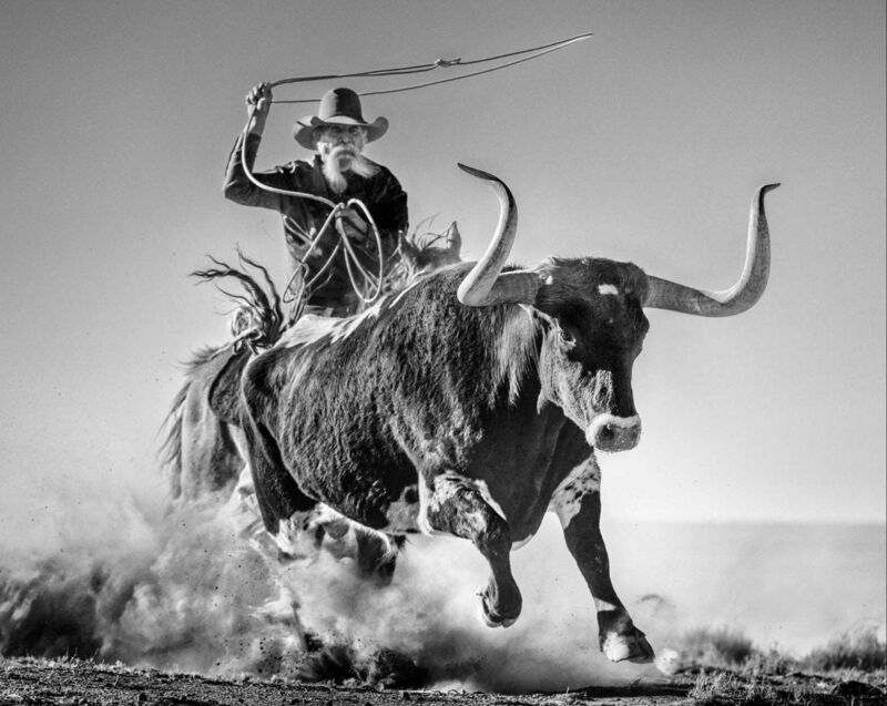 David Yarrow, ‘Ain't My First Rodeo’, 2021, Photography, Archival Pigment Print, Hilton Asmus
