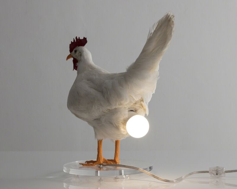 Sebastian Errazuriz, ‘Chicken Lamp. Taxidermy chicken and electrical components. ’, 2018, Design/Decorative Art, R & Company