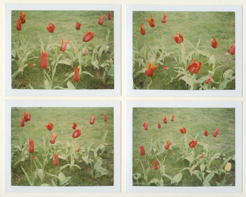 Stefanie Schneider, ‘Springtime (Paris)’, 1995, Photography, 4 Analog C-Prints based on 4 Polaroids, hand-printed by the artist on Fuji Crystal Archive Paper. Not mounted., Instantdreams
