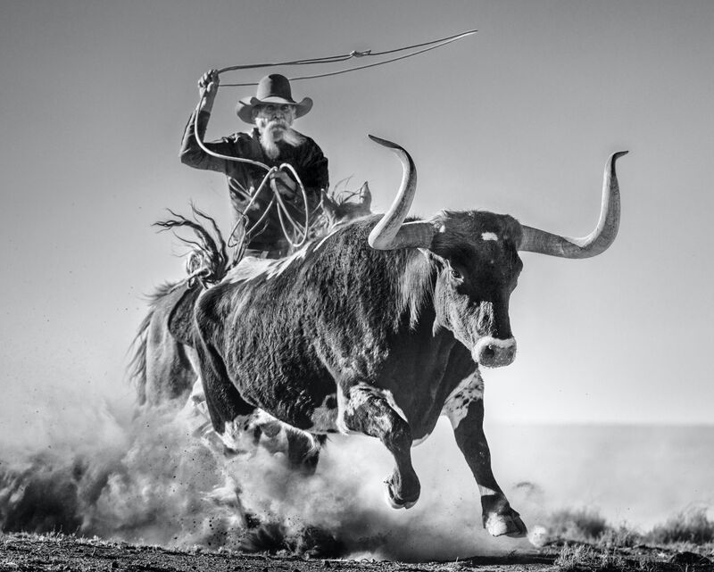 David Yarrow, ‘Ain't My First Rodeo’, 2021, Photography, Archival Pigment Print, CAMERA WORK