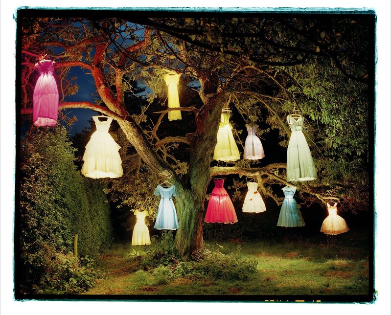 Tim Walker, ‘The Dress Lamp Tree, England ’, 2004, Photography, Photograph, Museo Thyssen-Bornemisza