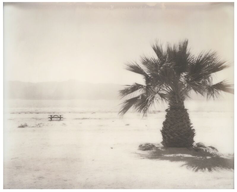 Stefanie Schneider, ‘Salton Sea Palm Tree (California Badlands)’, 2016, Photography, Digital C-Print, based on an expired Polaroid, Instantdreams