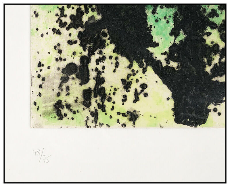 Joan Miró, ‘Regne Vegetal (D.462)’, 1968, Print, Etching with Aquatint and Carborundum, Original Art Broker