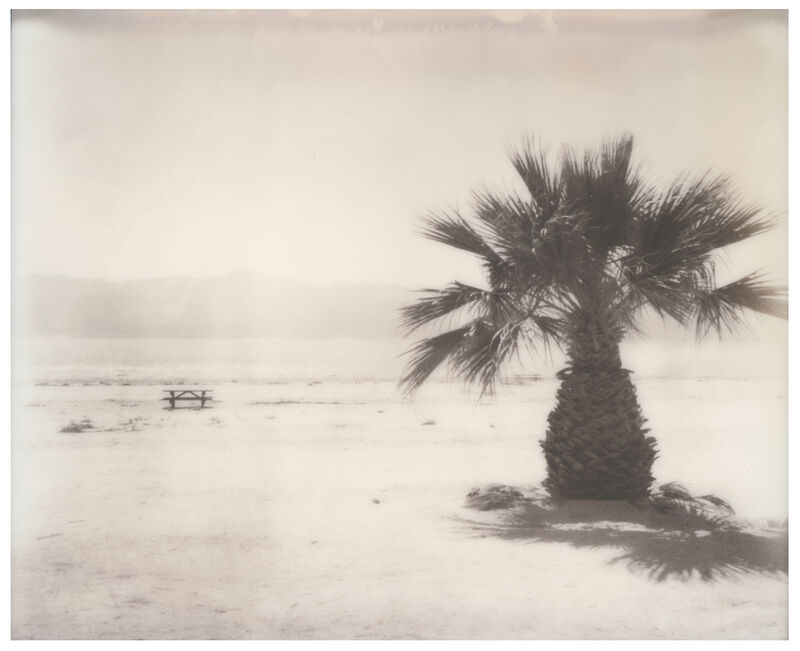 Stefanie Schneider, ‘Salton Sea Palm Trees (California Badlands)’, 2016, Photography, Digital C-Print, based on a Polaroid, Instantdreams