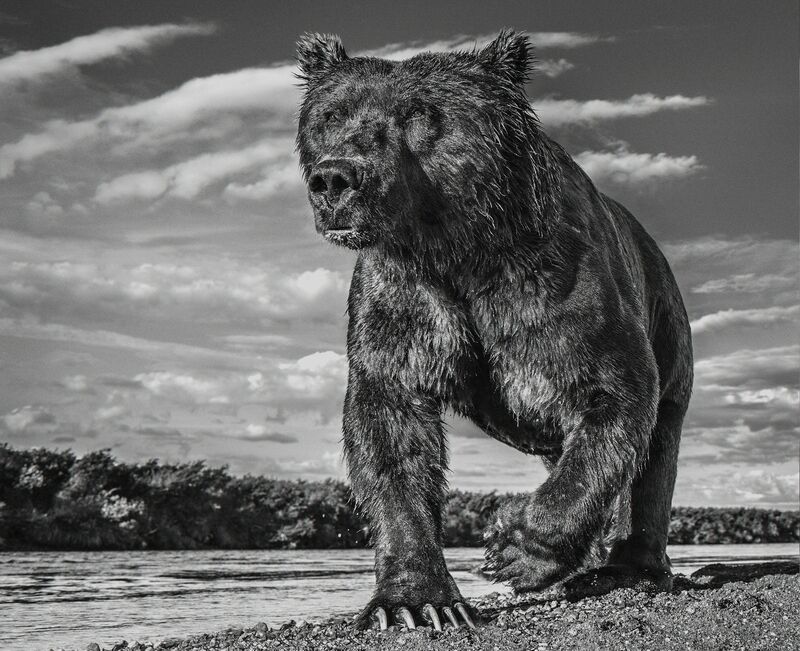 David Yarrow, ‘The Fisher King’, 2017, Photography, Archival Pigment Print, Hilton Asmus