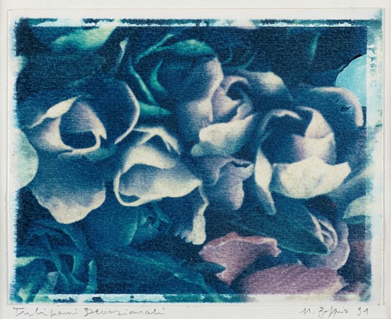 Natale Zoppis, ‘Tulipani devozionali’, 1991, Photography, Polaroid applied on original cardboard, Finarte
