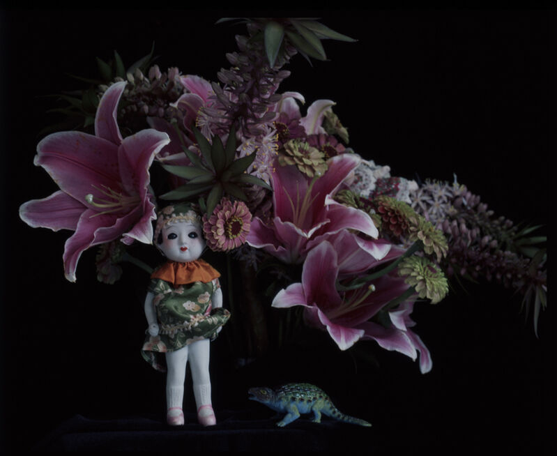 Nobuyoshi Araki, ‘qARADIS’, 2014, Photography, Foam Fotografiemuseum Amsterdam