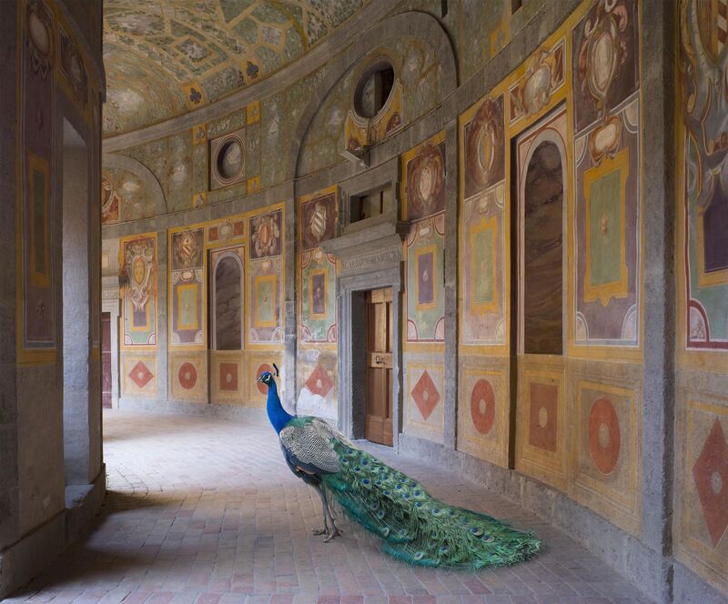 Karen Knorr, ‘Heaven’s Vaut, Villa Farnese, Caprarola’, 2014, Photography, Archival Pigment Print, Danziger Gallery