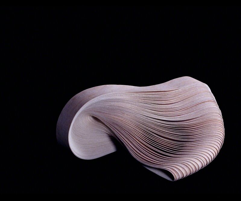 Susana Reisman, ‘Photosculpture (Wood)’, 2005, Photography, Archival Pigment Print, Circuit Gallery