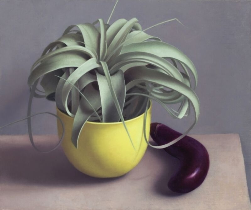Amy Weiskopf, ‘Airplant and Eggplant’, 2016, Painting, Oil on linen, Clark Gallery