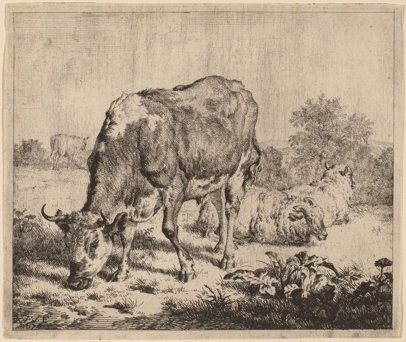 Adriaen van de Velde, ‘Spotted Bull and Three Sheep’, 1670, Print, Etching on laid paper, National Gallery of Art, Washington, D.C.