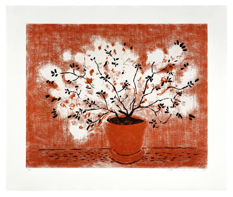 David Hockney, ‘Red Wire Plant’, 1998, Print, Etching and aquatint in red and black on Somerset paper, ARCHEUS/POST-MODERN