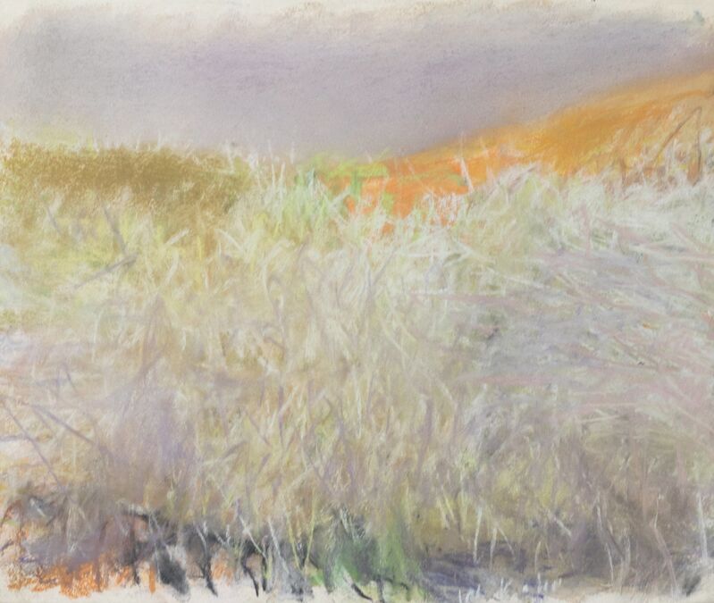 Wolf Kahn, ‘Tangle Before a Yellow Hill’, 2006, Drawing, Collage or other Work on Paper, Pastel on Paper, Manolis Projects